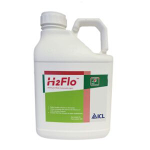 H2FLO